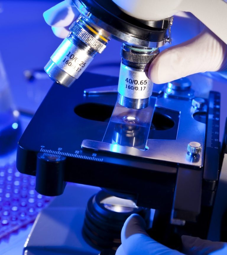 Laboratory microscope examining a sample